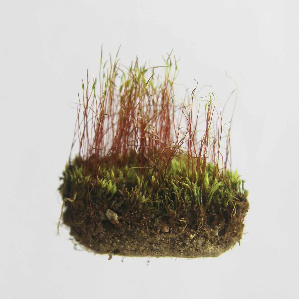 Optimize your operations and save time now