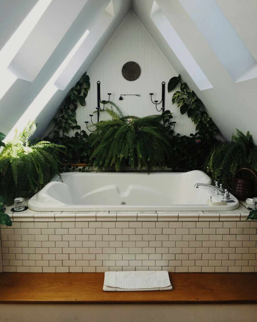 lisa-moyneur-yAlH5qA7qk0-unsplash