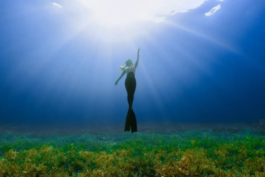 Explore More, Worry Less Underwater