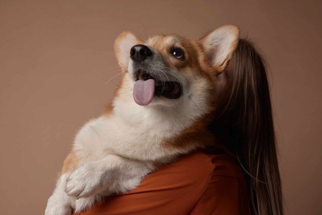 The doggy care that rocks